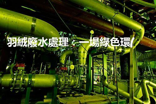 羽絨廢水處理：一場綠色環(huán)保的羽毛盛宴？